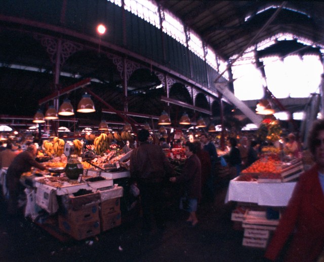 Firenze and France--7