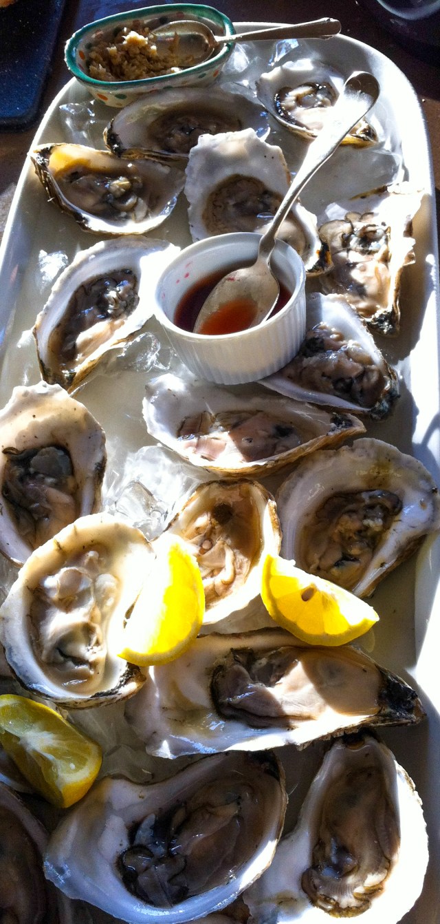 oysters-04