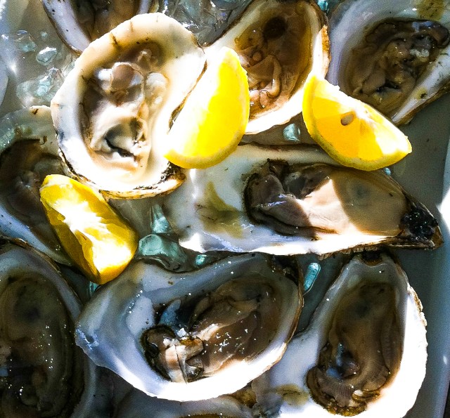 sunlit oysters with lemon - crop-06