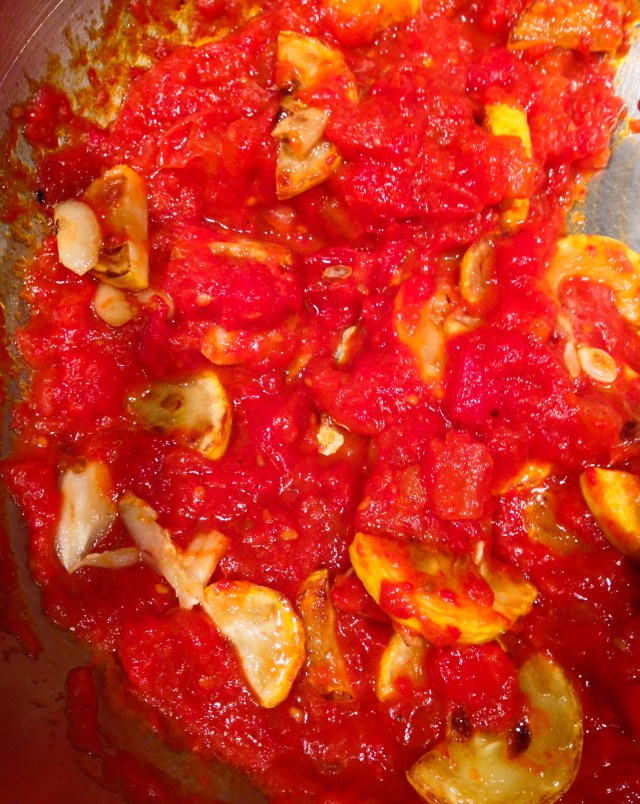 yellow squash added to tomato sauce-18