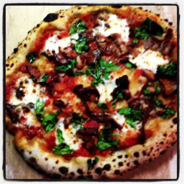 Leopard-spotted chanterelle and stracchino-44