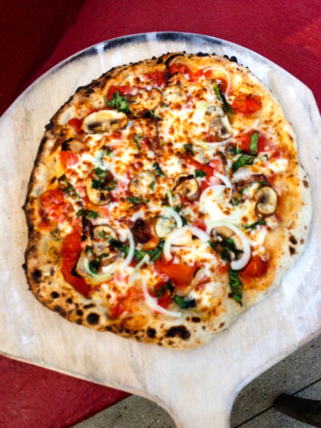 Leopard-spotted onion and mushroom-13