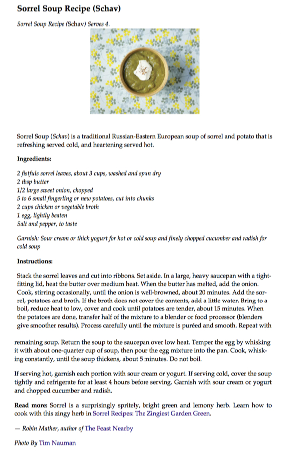 Sorrel Soup Recipe - Schav