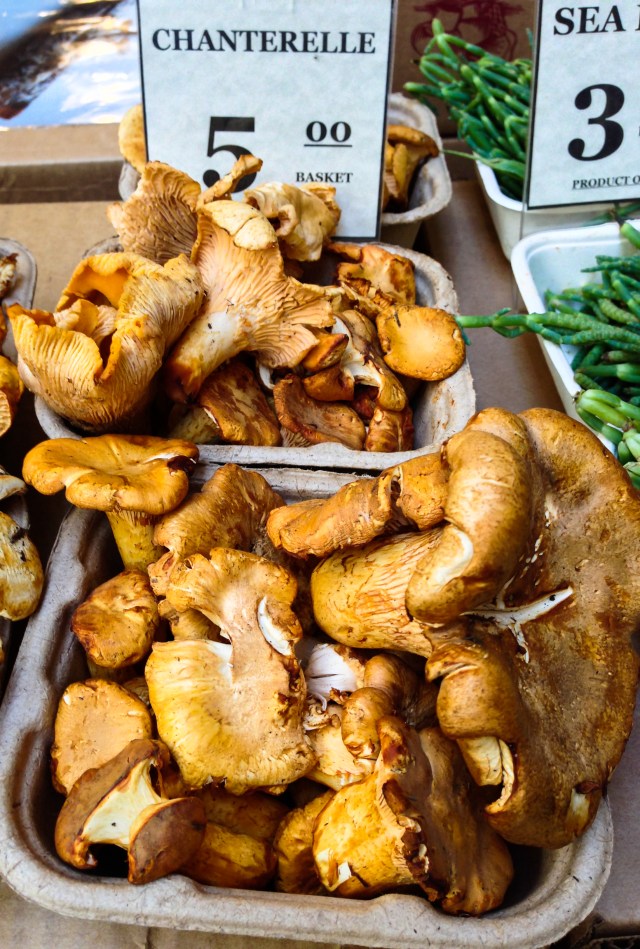 2013-09-25 14.09.31 HDR