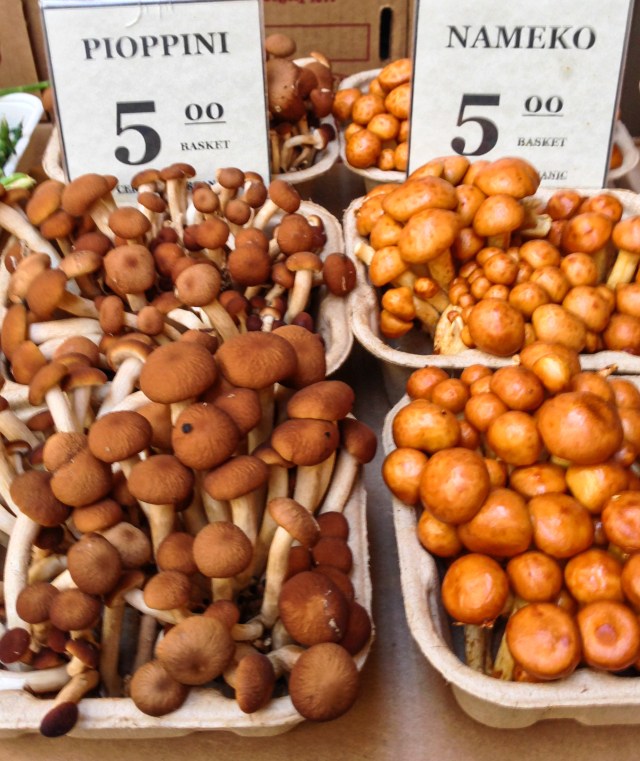 2013-09-25 14.09.38 HDR