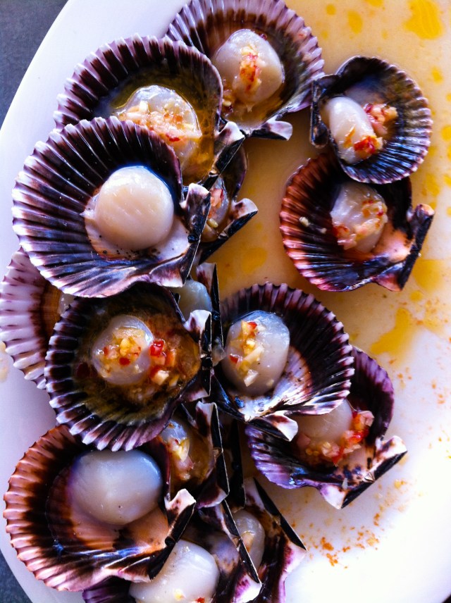 scallops