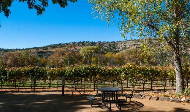 Page Springs vineyard