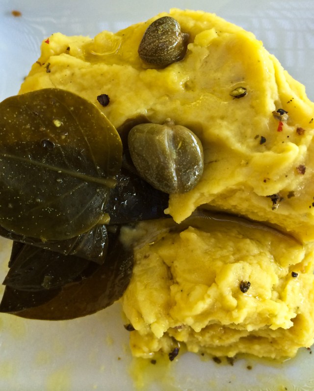 IMG_1476-3295016383-O