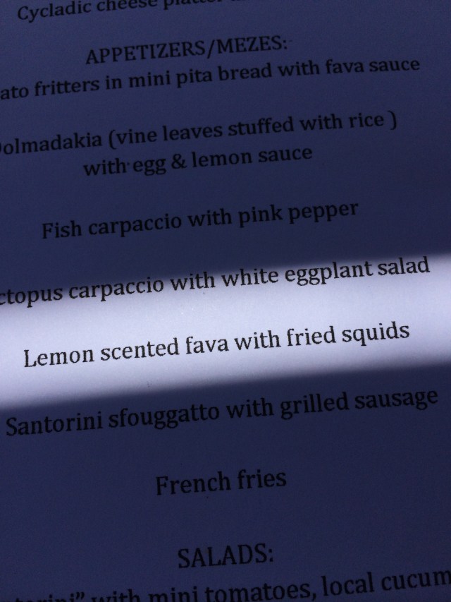 IMG_1523-3295019128-O