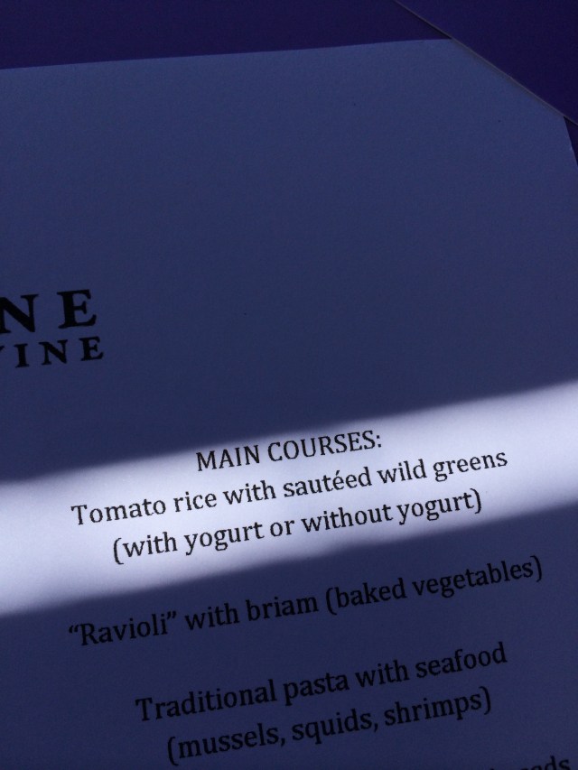 IMG_1524-3295019533-O