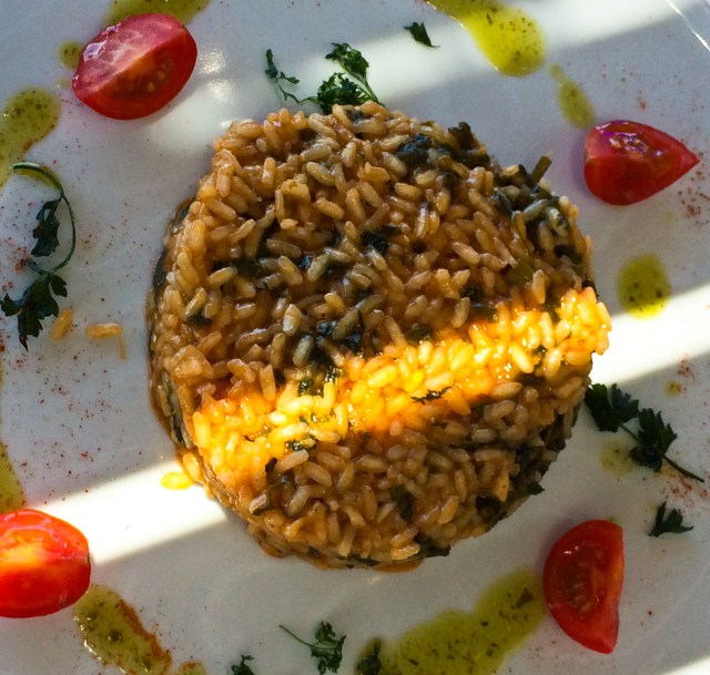 IMG_1525-3295019515-O