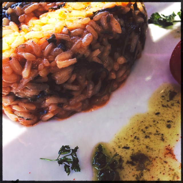 IMG_1534-3295019912-O