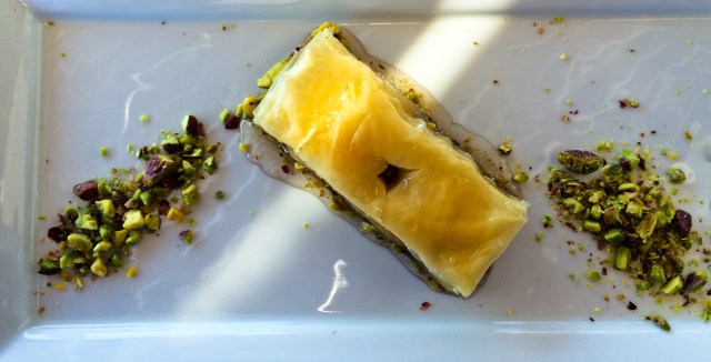 IMG_1536-3295020094-O