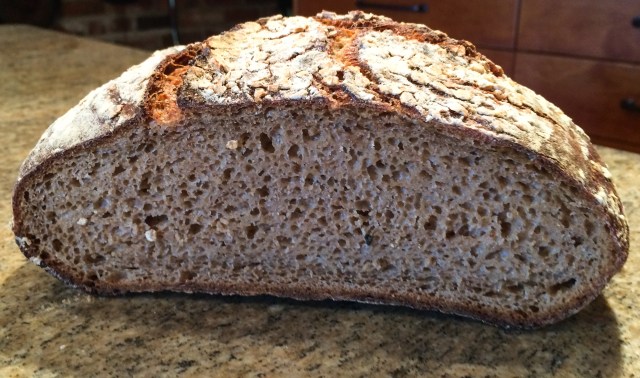 whole wheat levain - July 12