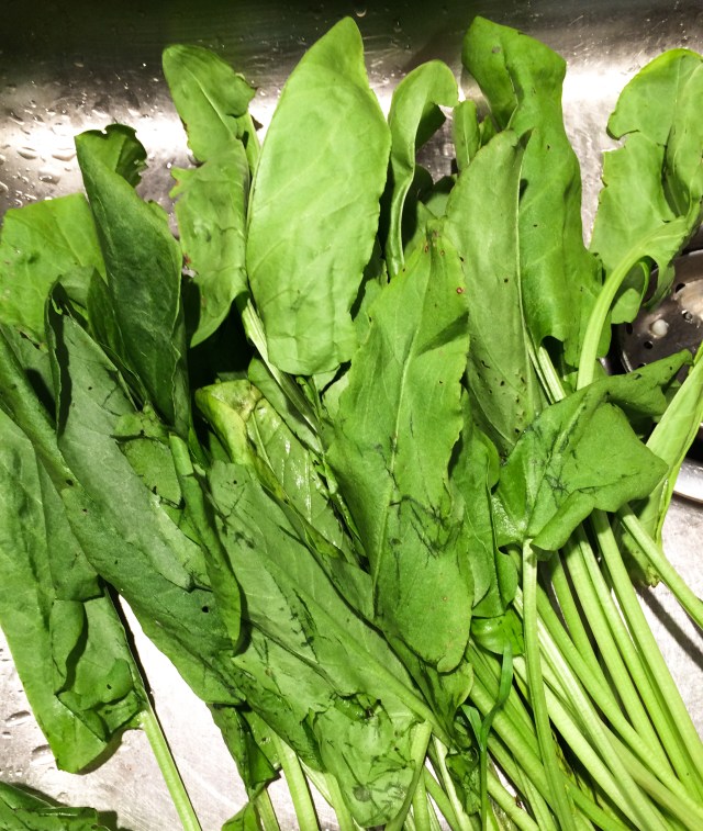 fresh sorrel