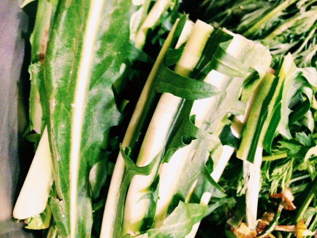 Processed with VSCOcam with c1 preset