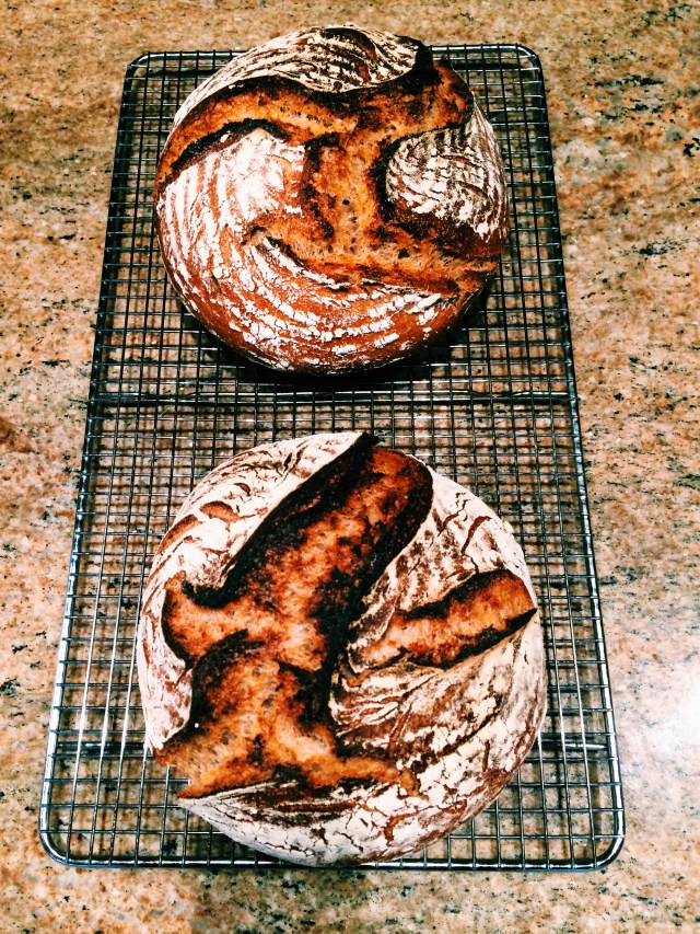 Processed with VSCOcam with c1 preset