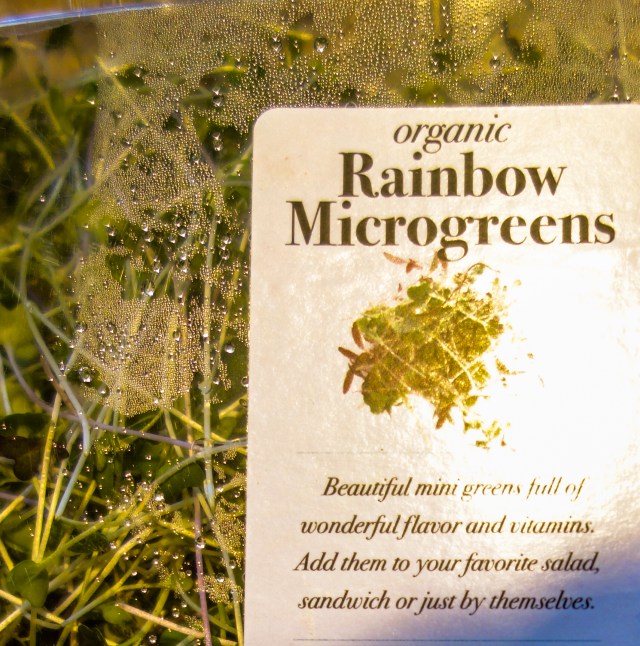 Rainbow Microgreens