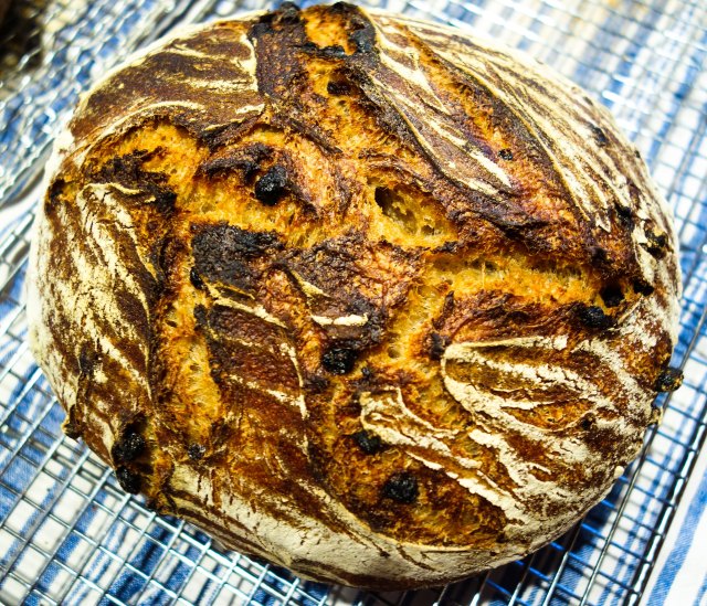 Levain with currants inside