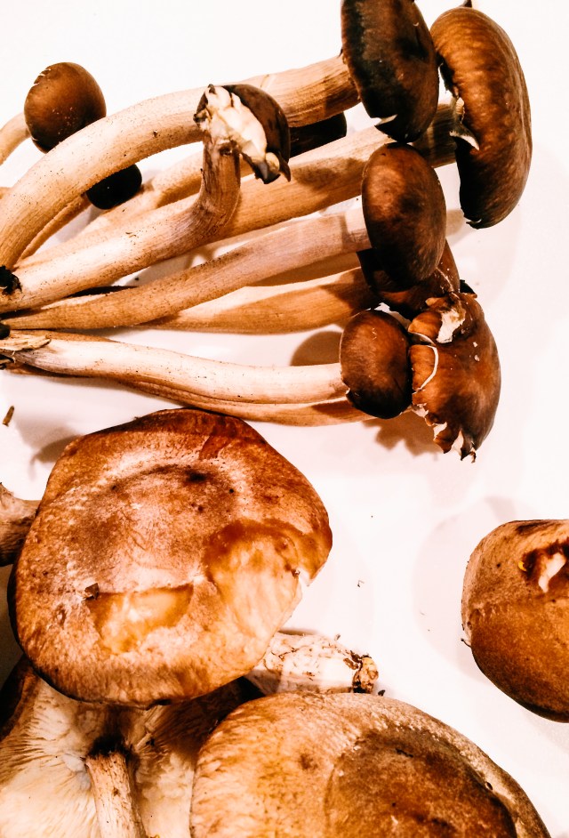 Processed with VSCOcam with c1 preset