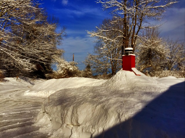 cleared driveway, buried pizza oven