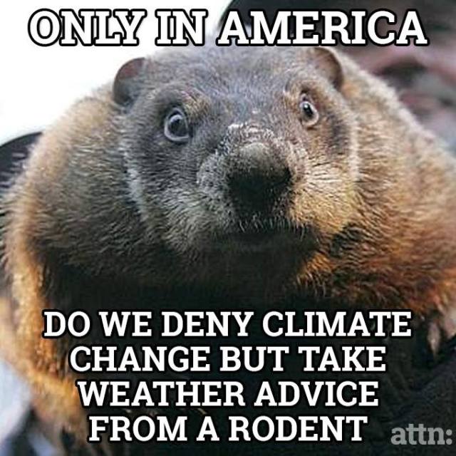 climate change and groundhog