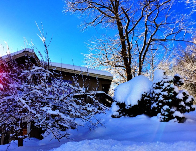 late aft sun over snow