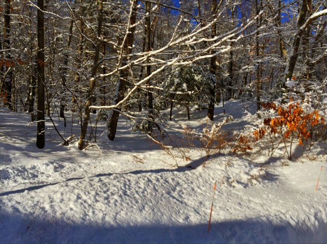 there's a stone wall there under snow