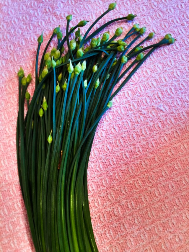 flowering chives