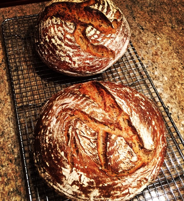 2 rye breads
