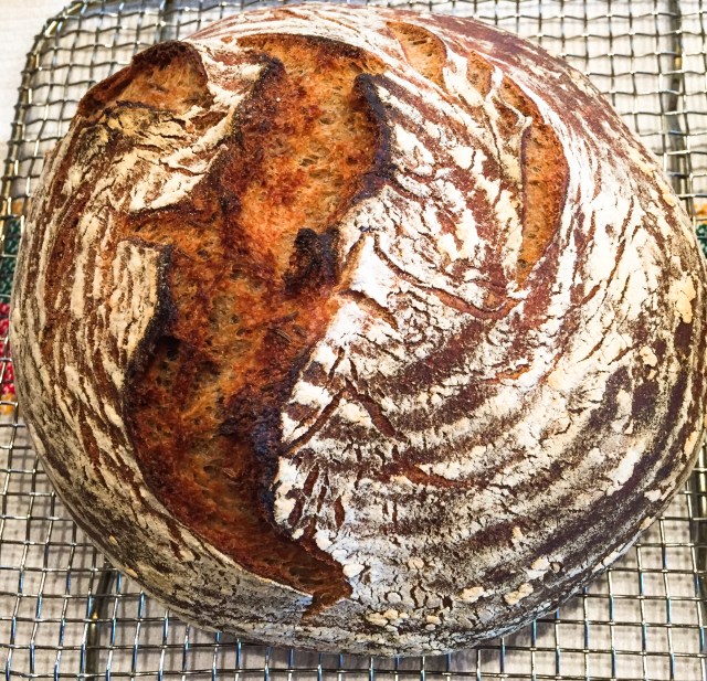 seeded-ryelevain
