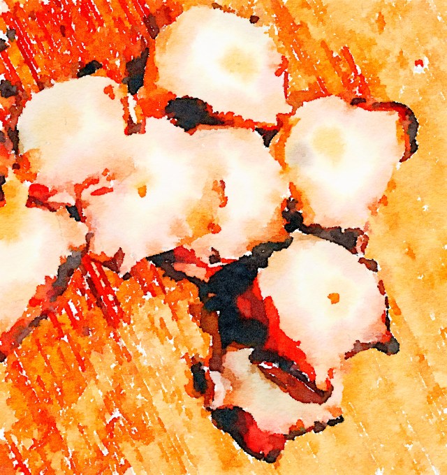 Waterlogue 1.3.1 (72) Preset Style = Vibrant Format = 6" (Medium) Format Margin = None Format Border = Straight Drawing = #2 Pencil Drawing Weight = Medium Drawing Detail = Medium Paint = Natural Paint Lightness = Auto Paint Intensity = More Water = Tap Water Water Edges = Medium Water Bleed = Average Brush = Natural Detail Brush Focus = Everything Brush Spacing = Narrow Paper = Watercolor Paper Texture = Medium Paper Shading = Light Options Faces = Enhance Faces